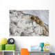 Main Travertine Sinter Terrace Wall Decal Design 1