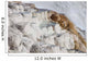 Main Travertine Sinter Terrace Wall Decal Design 1