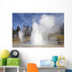 Grand Geyser Erupting Upper Wall Decal Design 3