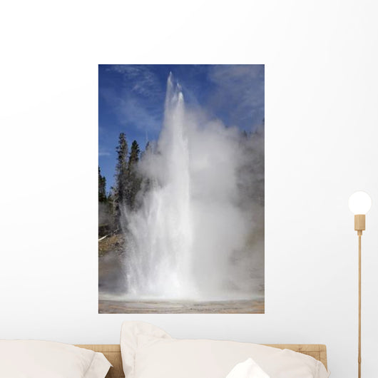 Grand Geyser Erupting Upper Wall Decal Design 2
