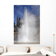 Grand Geyser Erupting Upper Wall Decal Design 2