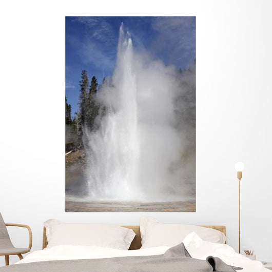 Grand Geyser Erupting Upper Wall Decal Design 2