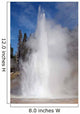 Grand Geyser Erupting Upper Wall Decal Design 2