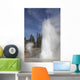 Grand Geyser Erupting Upper Wall Decal Design 1