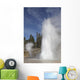 Grand Geyser Erupting Upper Wall Decal Design 1