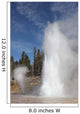 Grand Geyser Erupting Upper Wall Decal Design 1