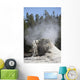 Giant Geyser Steaming Geyserite Wall Decal
