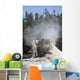 Giant Geyser Steaming Geyserite Wall Decal