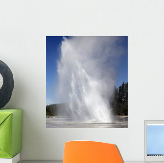 Daisy Geyser Erupting Upper Wall Decal