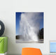 Daisy Geyser Erupting Upper Wall Decal