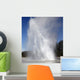 Daisy Geyser Erupting Upper Wall Decal