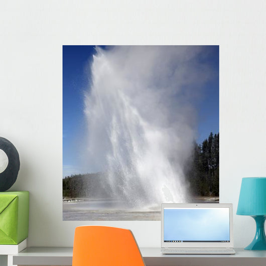 Daisy Geyser Erupting Upper Wall Decal