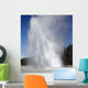 Daisy Geyser Erupting Upper Wall Decal