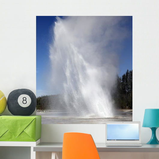 Daisy Geyser Erupting Upper Wall Decal