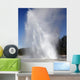 Daisy Geyser Erupting Upper Wall Decal