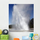 Daisy Geyser Erupting Upper Wall Decal
