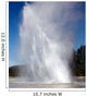 Daisy Geyser Erupting Upper Wall Decal