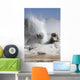 Grotto Geyser Erupting Upper Wall Decal