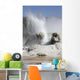 Grotto Geyser Erupting Upper Wall Decal