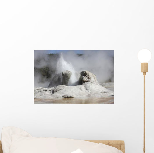 Grotto Geyser Eruption Upper Wall Decal