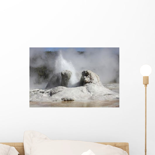 Grotto Geyser Eruption Upper Wall Decal