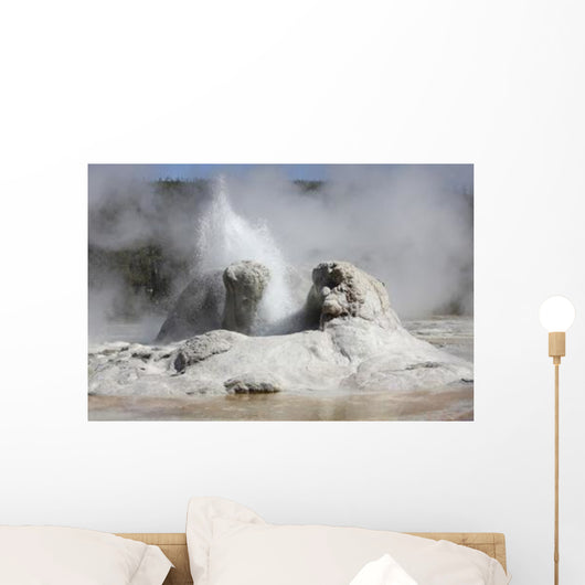 Grotto Geyser Eruption Upper Wall Decal