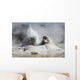 Grotto Geyser Eruption Upper Wall Decal