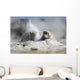 Grotto Geyser Eruption Upper Wall Decal
