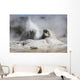 Grotto Geyser Eruption Upper Wall Decal