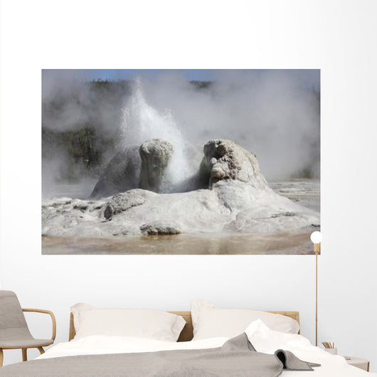 Grotto Geyser Eruption Upper Wall Decal