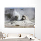 Grotto Geyser Eruption Upper Wall Decal