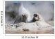Grotto Geyser Eruption Upper Wall Decal