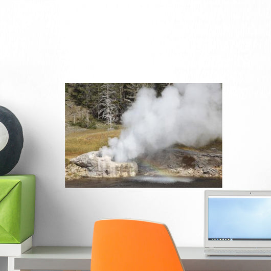 Riverside Geyser Erupting Upper Wall Decal Design 1