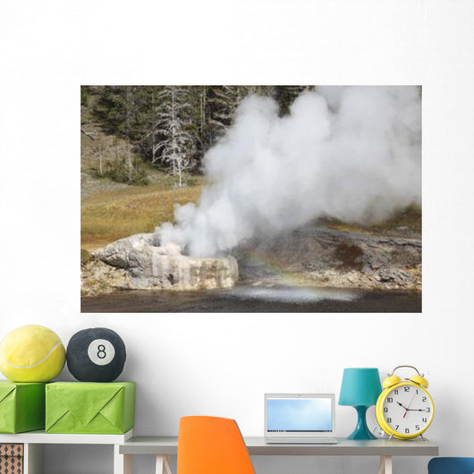 Riverside Geyser Erupting Upper Wall Decal Design 1