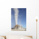 White Dome Geyser Erupting Wall Decal Design 2