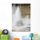 Beehive Geyser Eruption Upper Wall Decal