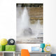 Beehive Geyser Eruption Upper Wall Decal