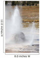 Beehive Geyser Eruption Upper Wall Decal