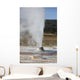 Beehive Geyser Erupting Upper Wall Decal
