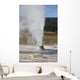 Beehive Geyser Erupting Upper Wall Decal