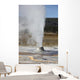 Beehive Geyser Erupting Upper Wall Decal