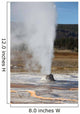 Beehive Geyser Erupting Upper Wall Decal