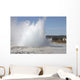 Great Fountain Geyser Eruption Wall Decal
