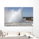 Great Fountain Geyser Eruption Wall Decal