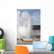Clepsydra Geyser Eruption Upper Wall Decal