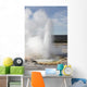 Clepsydra Geyser Eruption Upper Wall Decal