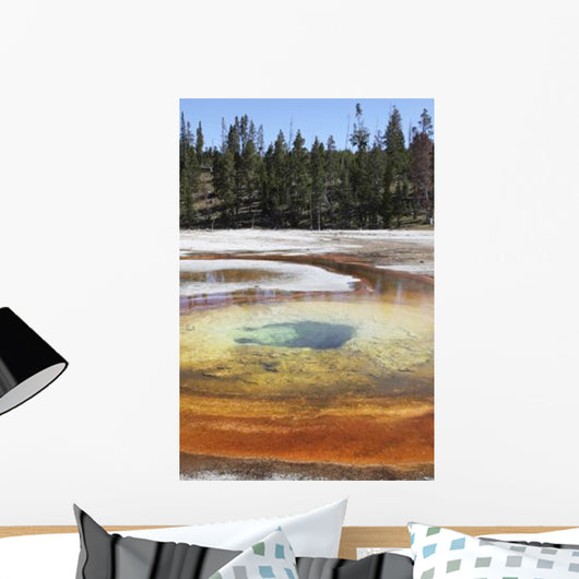 Chromatic Pool Hot Spring Wall Decal Design 3