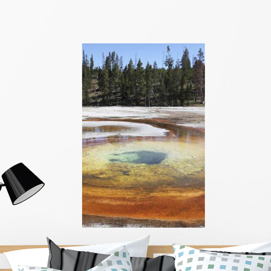 Chromatic Pool Hot Spring Wall Decal Design 3