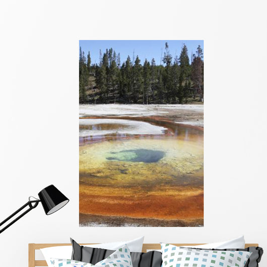 Chromatic Pool Hot Spring Wall Decal Design 3