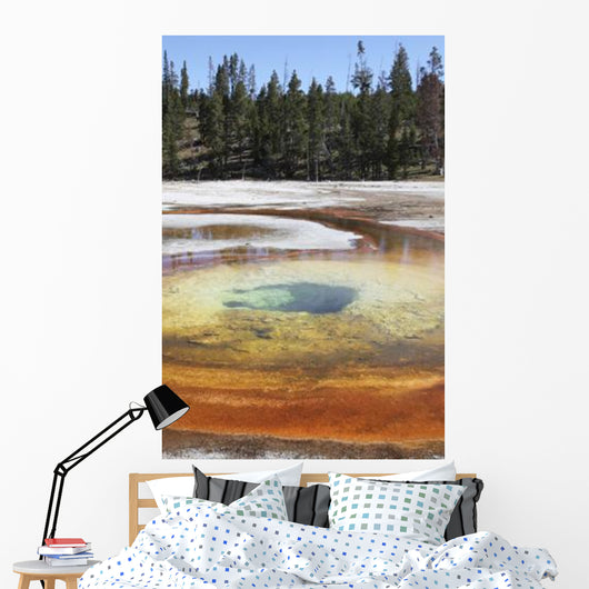 Chromatic Pool Hot Spring Wall Decal Design 3